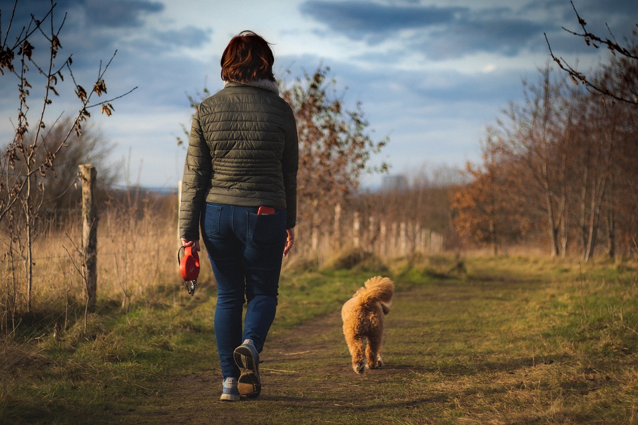 How Big is a Cavapoo